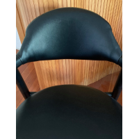 Tijsseling koehoorn stoel